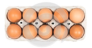 Ten Brown eggs in the cardboard package box top view isolated on white