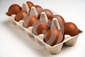 Ten brown eggs in carton on white with clipping path
