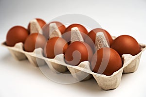Ten brown eggs in carton on white with clipping path