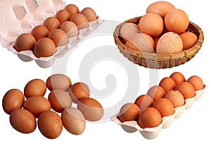 Ten brown hens eggs isolated on white background set