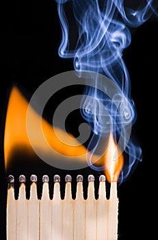 Ten burnt matches