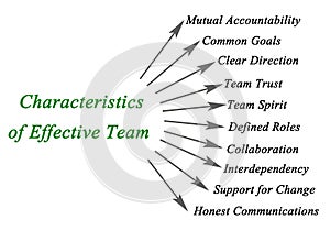 Characteristics of Effective Team