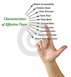 Characteristics of Effective Team