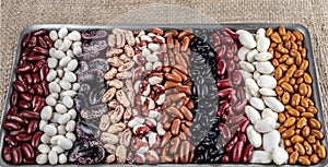 Ten different varieties of beans in a rectangular bowl.