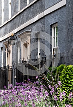 Ten Downing Street, Whitehall, official residence and office of the Prime Minister of the UK. The address is known as Number 10.