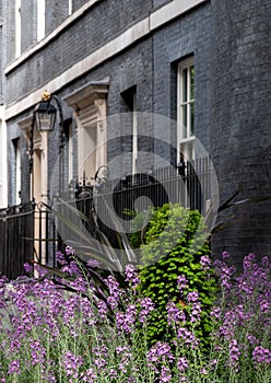 Ten Downing Street, Whitehall, official residence and office of the Prime Minister of the UK. The address is known as Number 10.