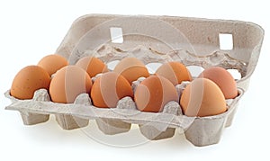 Ten eggs in the cassette