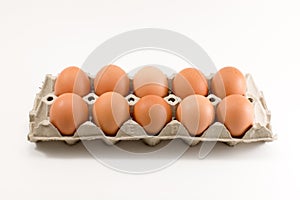 Ten Eggs in egg tray