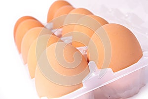 Ten eggs in plastic box