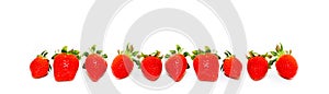 Ten fresh and natural red strawberries isolated on a seamless wide panorama frame format white background.