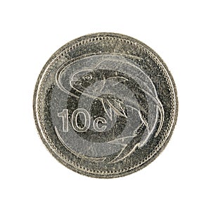 Ten maltese cent coin 1991 on white background