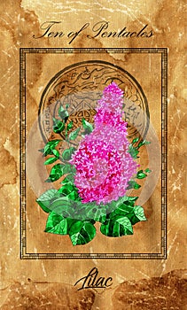 Ten of pentacles. Minor Arcana tarot card with Lilac and magic seal photo