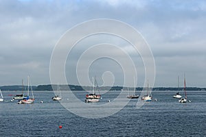 Ten sailboats anchored out on Lake Mendota with kayakers in the background in Madison, Wisonsin photo