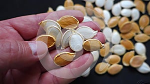 ten slices of pumpkin seeds, pumpkin seeds organic ancestor seeds, close-up pumpkin seeds