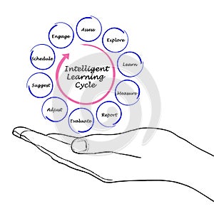 Stages of Intelligent Learning Cycle