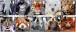 Ten stamps of WWF with endangered animals looking at you