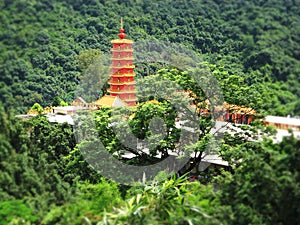 Ten thousand buddhas monastery