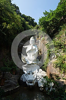 Ten Thousand Buddhas Monastery