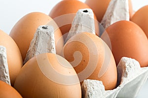 Ten White Eggs in an Egg Box - Close Up