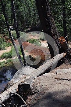 Tenaya Creek Before a Large Storm