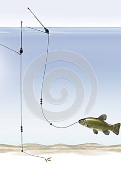 Tench lifting
