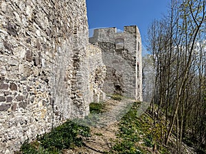 Tenczyn Castle - the ruins of a castle located in the Jura Krakowsko-CzÄ™stochowska, Poland