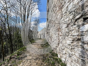 Tenczyn Castle - the ruins of a castle located in the Jura Krakowsko-CzÄ™stochowska, Poland