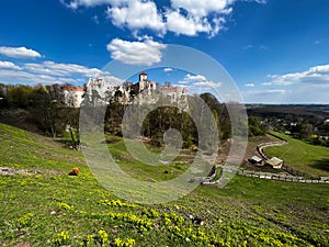 Tenczyn Castle - the ruins of a castle located in the Jura Krakowsko-CzÄ™stochowska, Poland