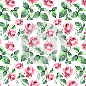 Tender arrangement of pink roses pattern watercolor hand sketch