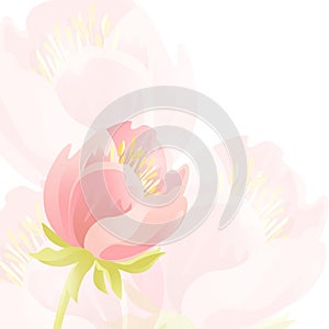 Tender background with pink beautiful flowers. EPS 10