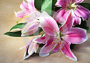 Tender bouquet of pink lilies lies on natural color board, Valentines Day background, wedding day, Happy Birthday.