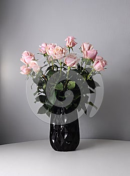 Tender bouquet of pink roses in black vase. Interior floral decor. Fresh flowers on grey background.