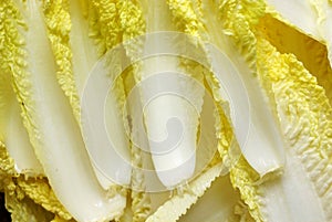 Tender chinese cabbage
