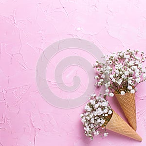 Tender fresh white gypsofila flowers in waffle cones on pink textured background photo
