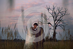 A tender kiss of bride and groom among the ears of wheat