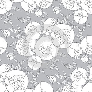 Tender line peony flower seamless pattern.