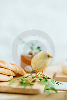 Tender little chicken on the table with easter decoration, bread, cheese and greenery.