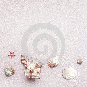 Tender natural cream colored shells on pale pink sand