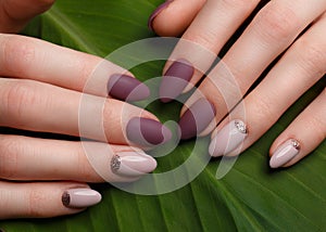 Tender neat manicure on female hands on green leaves background. Nail design