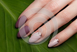 Tender neat manicure on female hands on green leaves background. Nail design