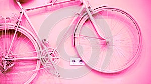 tender pink bicycle on such wall