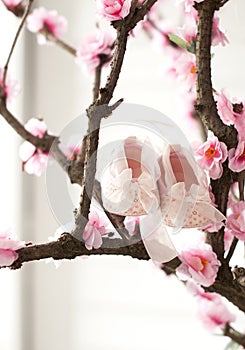 Tender pink booties with bow ribbon for birth baby girl