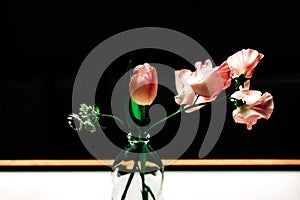 Tender pink flowers in glass vase on dark background