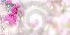 Tender pink roses background