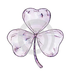 Tender pink shamrock illustration