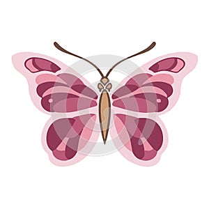tender pink spring butterfly moth symbol, illustration
