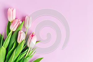 Tender pink tulips on pastel violet background. Greeting card for Mother`s day