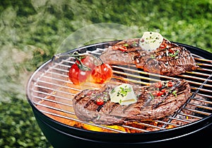Tender portions of rump steak grilling on a fire
