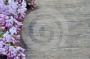 Tender purple lilac flowers on natural wooden background