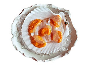 Tender slices of scallop covered with orange pike caviar on white mollusc shell in ice pieces